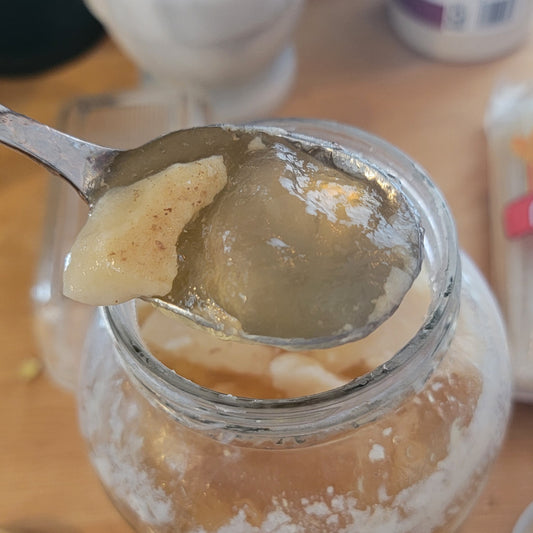 gelatinous homemade bone broth