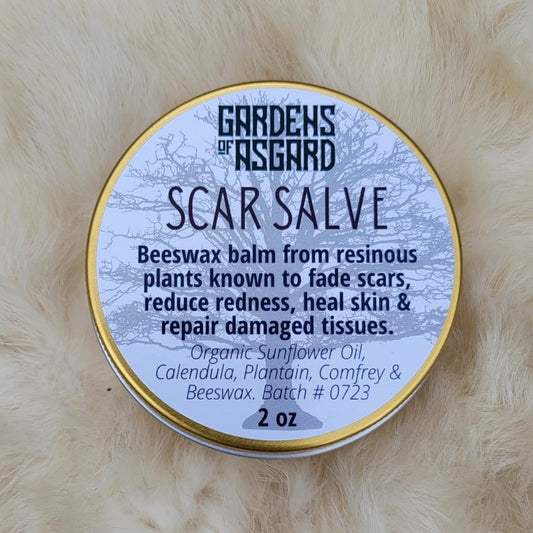 Scar Salve :: Beeswax Salve