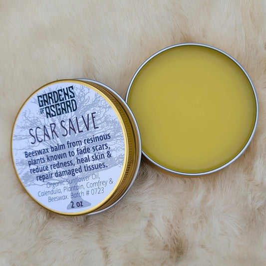 Scar Salve :: Beeswax Salve