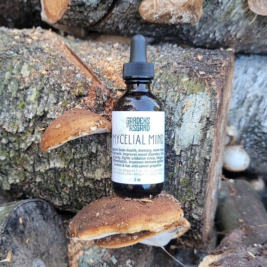Mycelial Mind :: Mushroom Extract