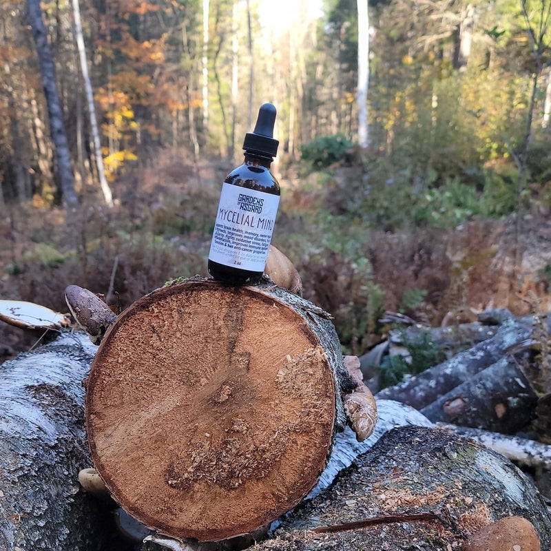 Mycelial Mind :: Mushroom Extract