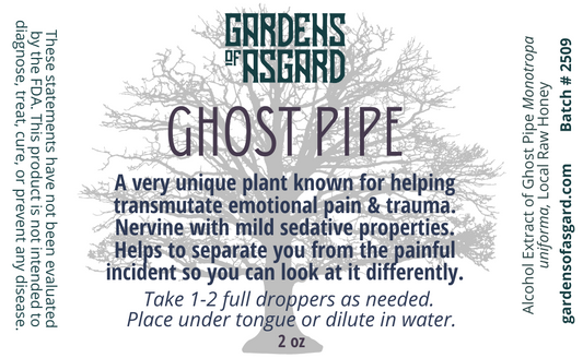 Ghost Pipe Elixir