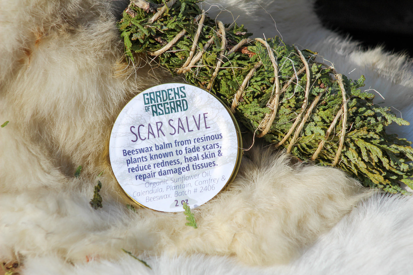 Scar Salve :: Beeswax Salve
