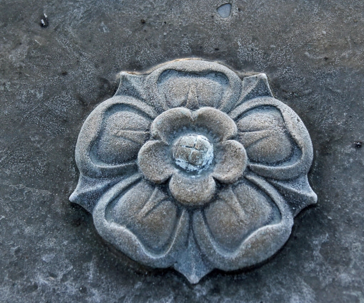 Sticker :: Rose of Trondheim