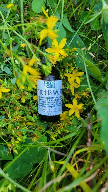 St Johns Wort Tincture