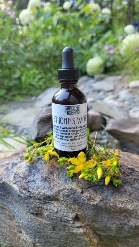 St Johns Wort Tincture