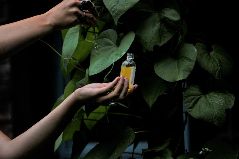 VÖLVA :: Herbal Body Oil