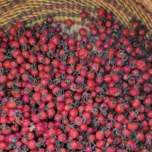 Wild Rosehip Face Serum