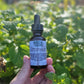 Lemon Balm Elixir