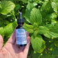 Lemon Balm Elixir