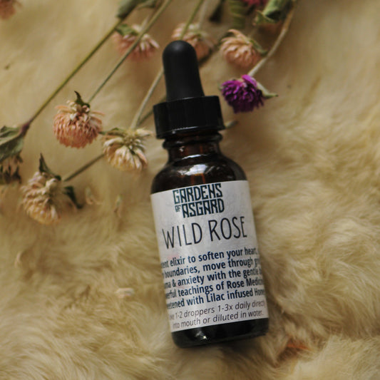 Wild Rose Elixir