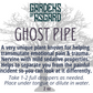 Ghost Pipe Elixir