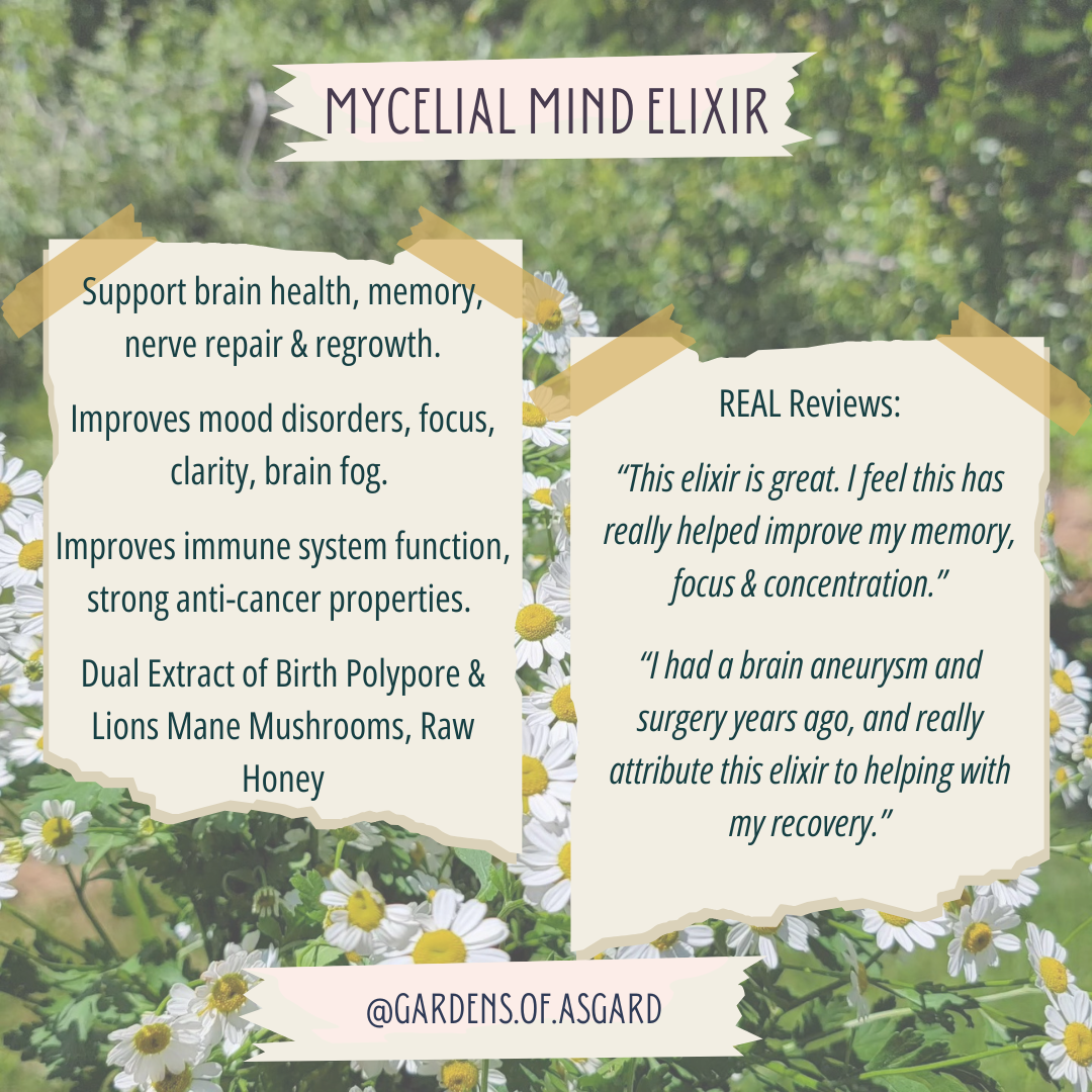 Mycelial Mind :: Mushroom Extract