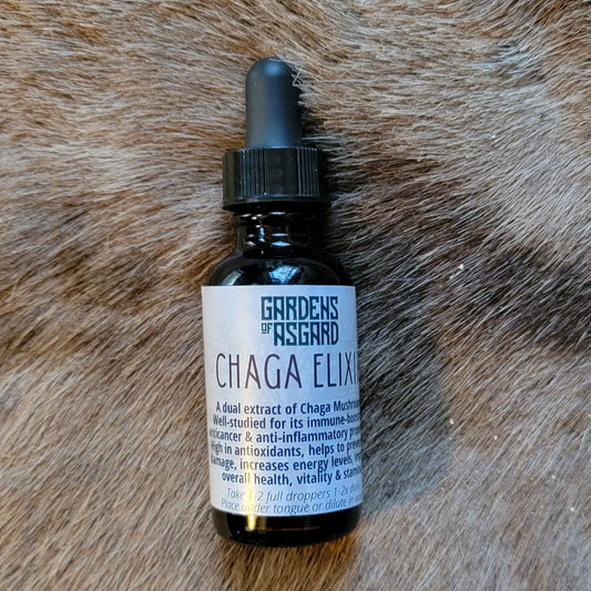 Chaga Elixir